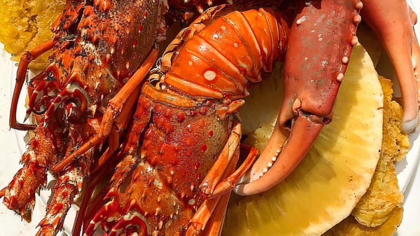 Lobster Boukannen